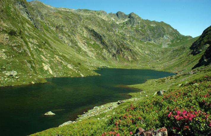 Apartaments Sort Pirineus Εξωτερικό φωτογραφία